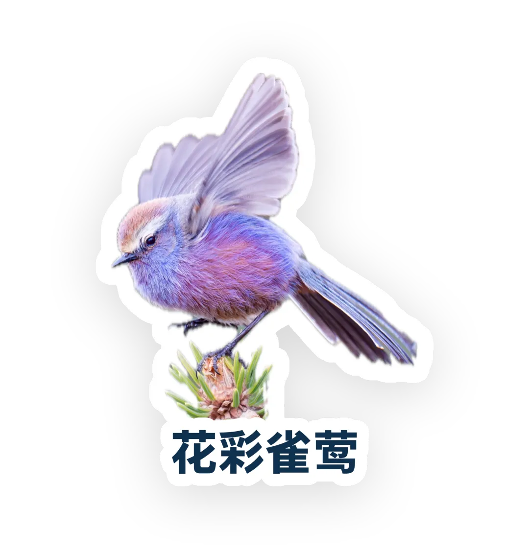 640 (12).webp